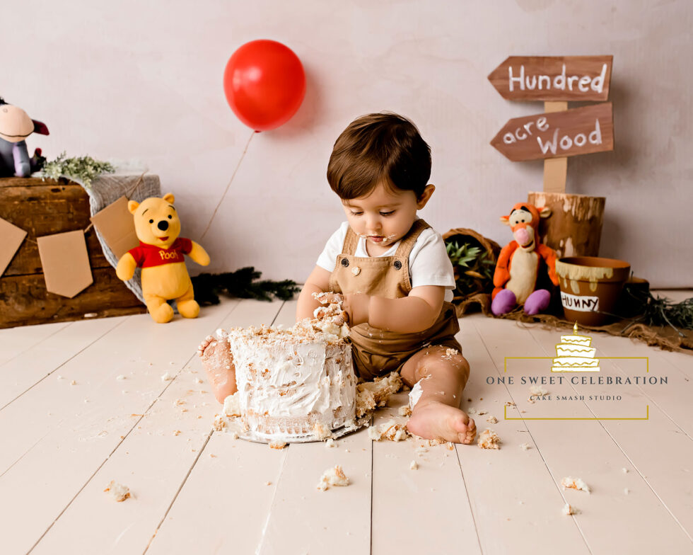 Winnie the Pooh Cake Smash - Brisbane Cake Smash Photographer - One