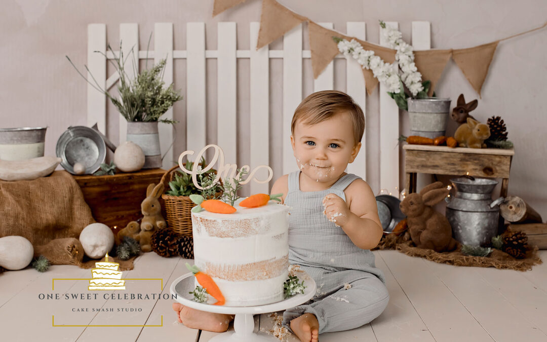 Brisbane Cake Smash photographer – Peter Rabbit Cake Smash