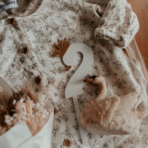 White Acrylic Swan cake topper