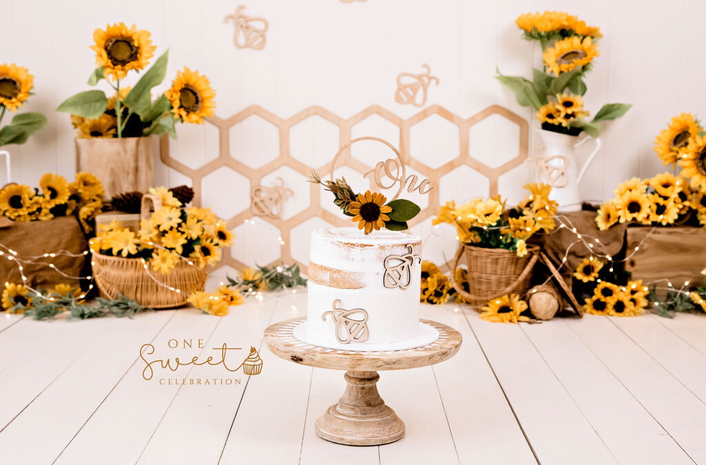 Brisbane cake smash photographer