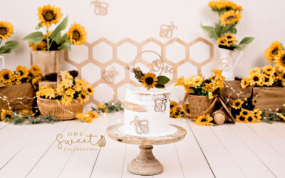 Brisbane cake smash photographer