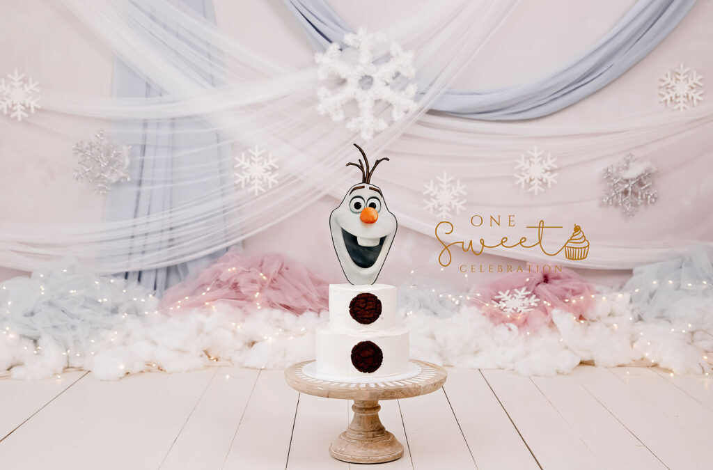 Frozen themed cake smash