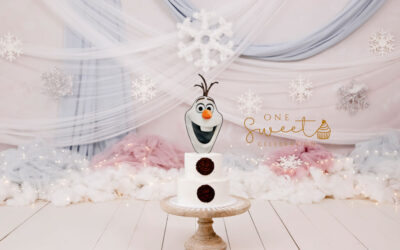 Frozen themed cake smash