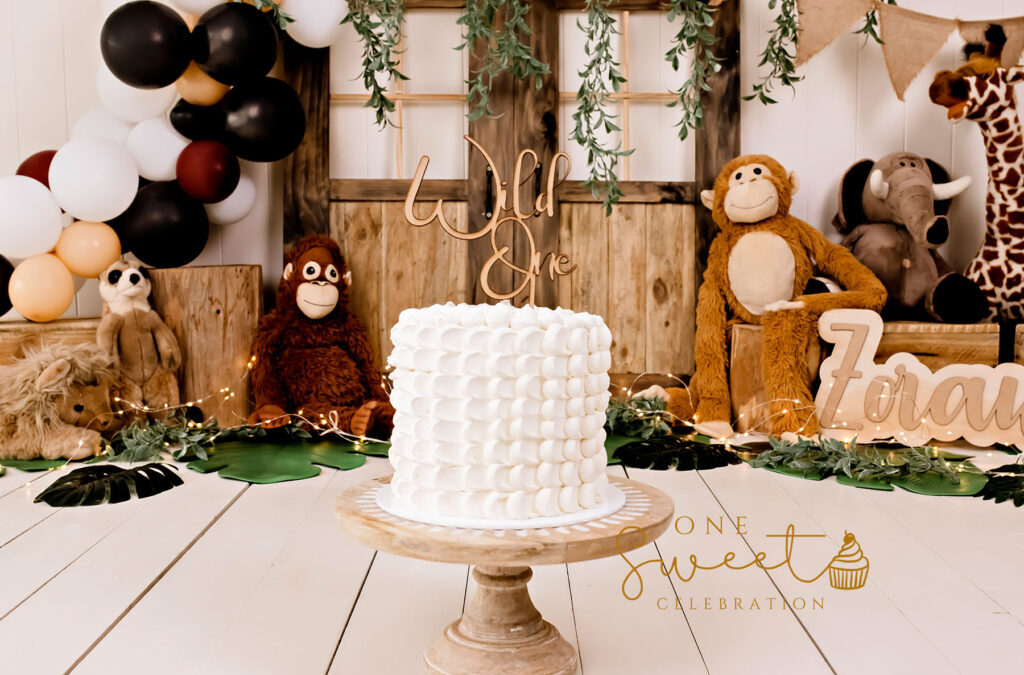 Wild ONE cake smash – Sunshine coast cake smash photographer