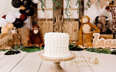Wild ONE cake smash – Sunshine coast cake smash photographer