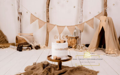 Brisbane Twin cake smash photographer