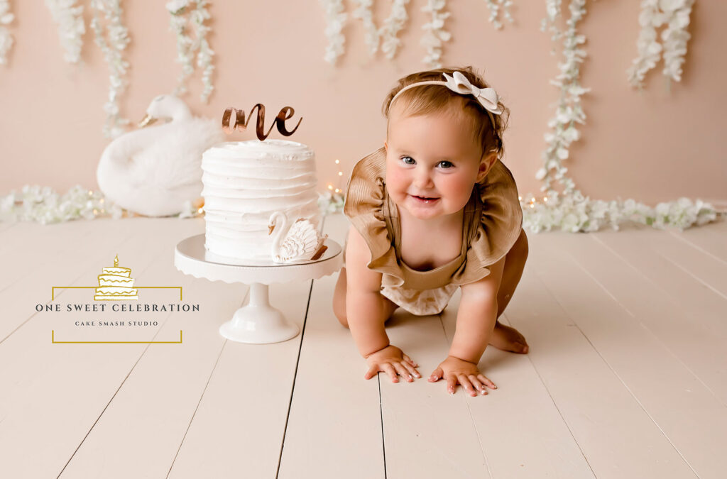 Voted No.1 Cake Smash Photographer in Brisbane