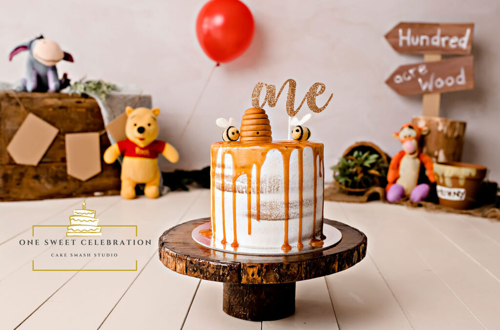 Winnie the Pooh Cake Smash – Brisbane Cake Smash Photographer