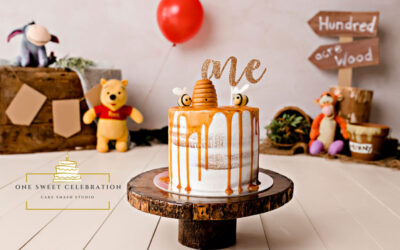 Winnie the Pooh Cake Smash – Brisbane Cake Smash Photographer