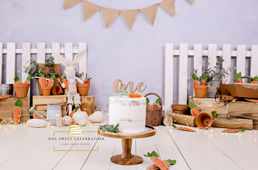 Peter Rabbit cake smash – Gold Coast cake smash photographer