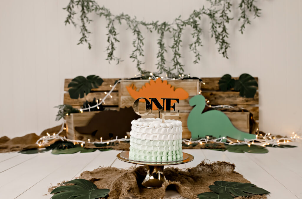 Dinosaur Roar Cake Smash – Brisbane cake smash photographer