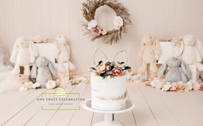 Brisbane Cake smash photographer – Some Bunny is turning one