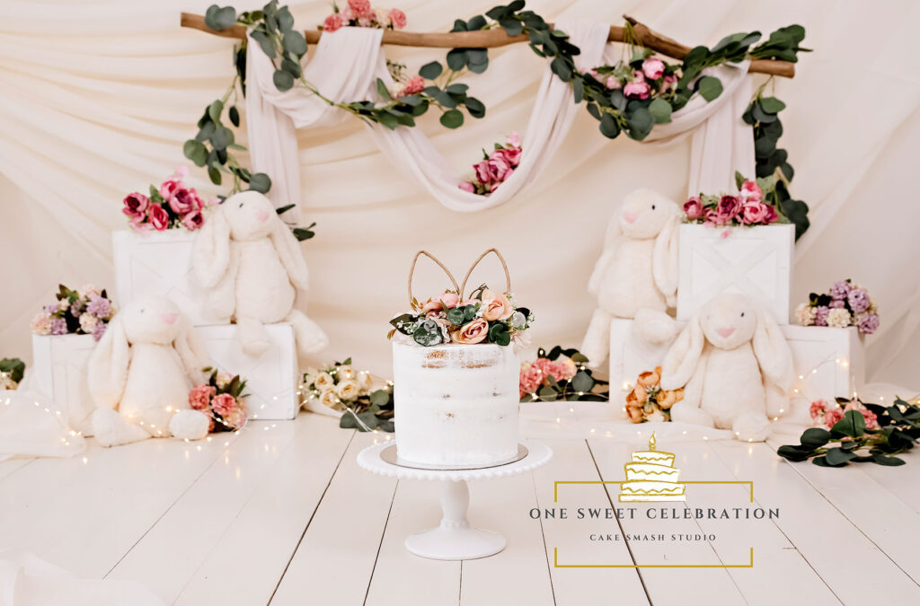 Some Bunny is One – Brisbane cake smash