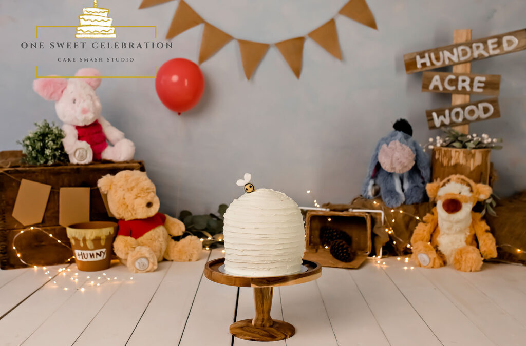 Winnie the Pooh Cake Smash – Brisbane Cake Smash Photographer