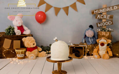 Winnie the Pooh Cake Smash – Brisbane Cake Smash Photographer