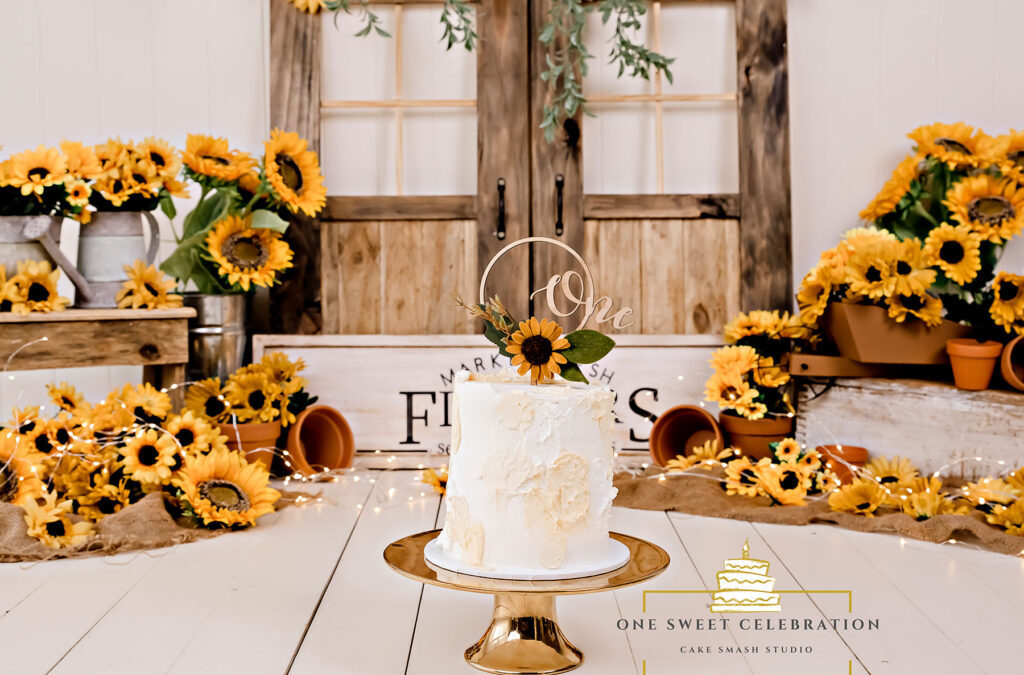 Brisbane Cake Smash Photographer- Sunflower Market cake smash